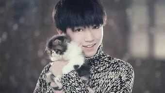 陈星宇重庆爆料最新消息,揭秘最新热点事件内幕 第1张 陈星宇重庆爆料最新消息,揭秘最新热点事件内幕 第1张